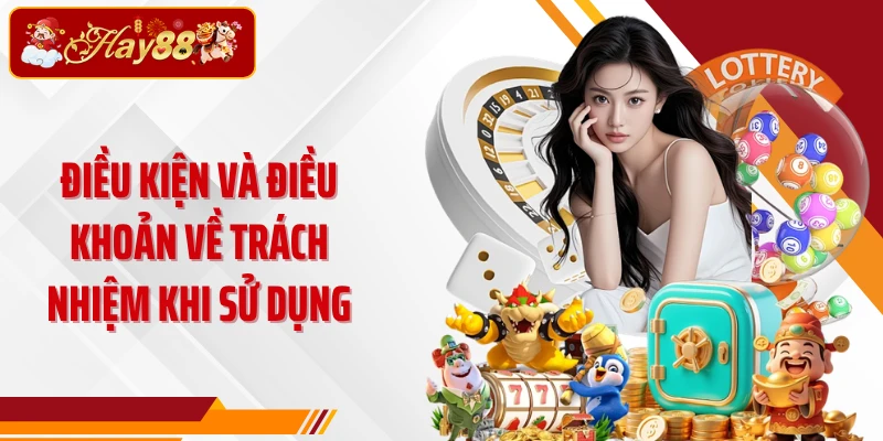 Điều kiện và điều khoản về trách nhiệm khi sử dụng