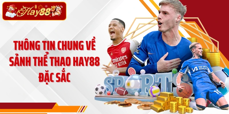 Thông tin chung về sảnh thể thao Hay88 đặc sắc